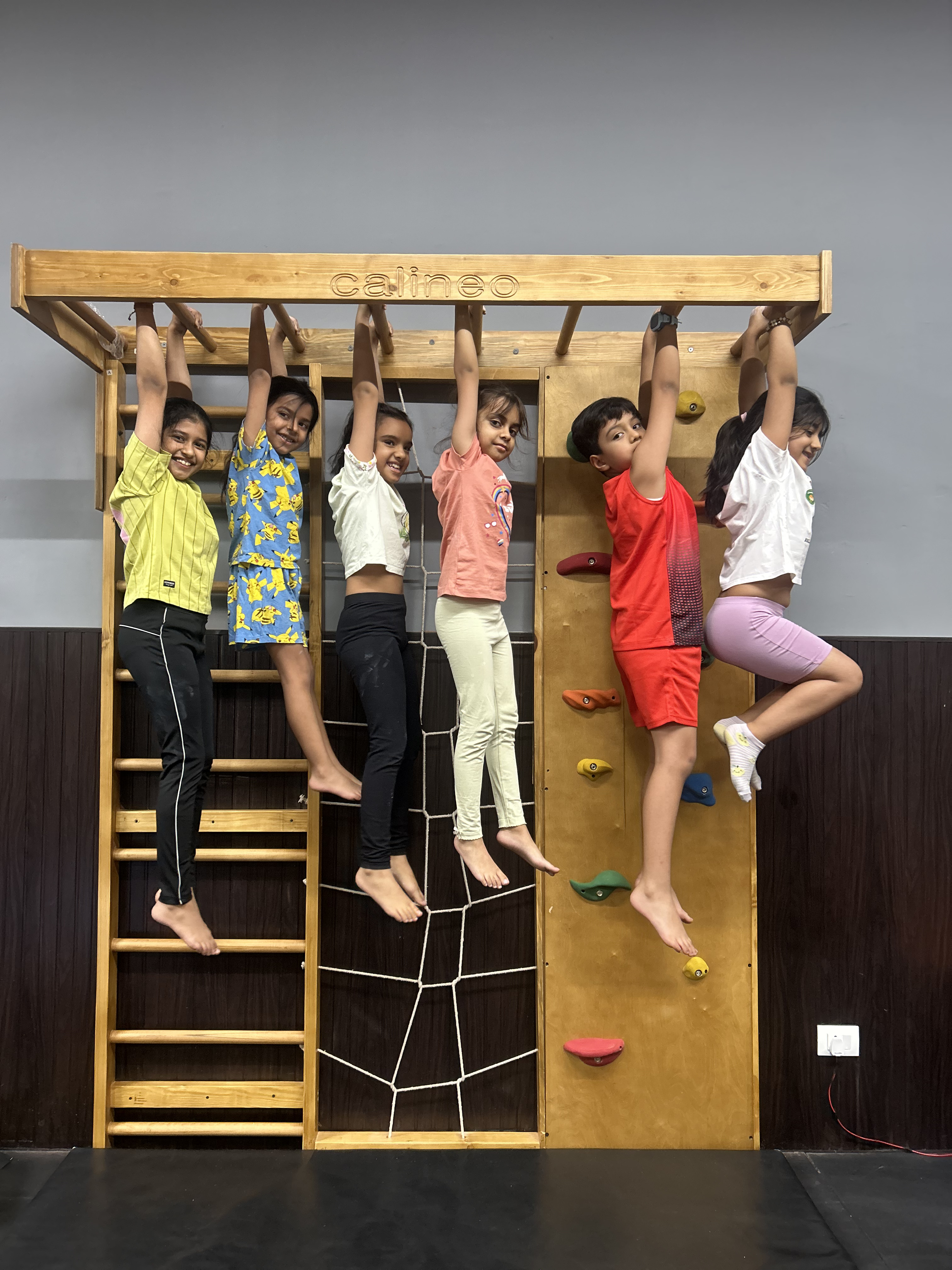 Calineo Jungle Gym — wall-mounted 4-in-1 climbing system with rock climber, Swedish ladder, rope climber and monkey climber