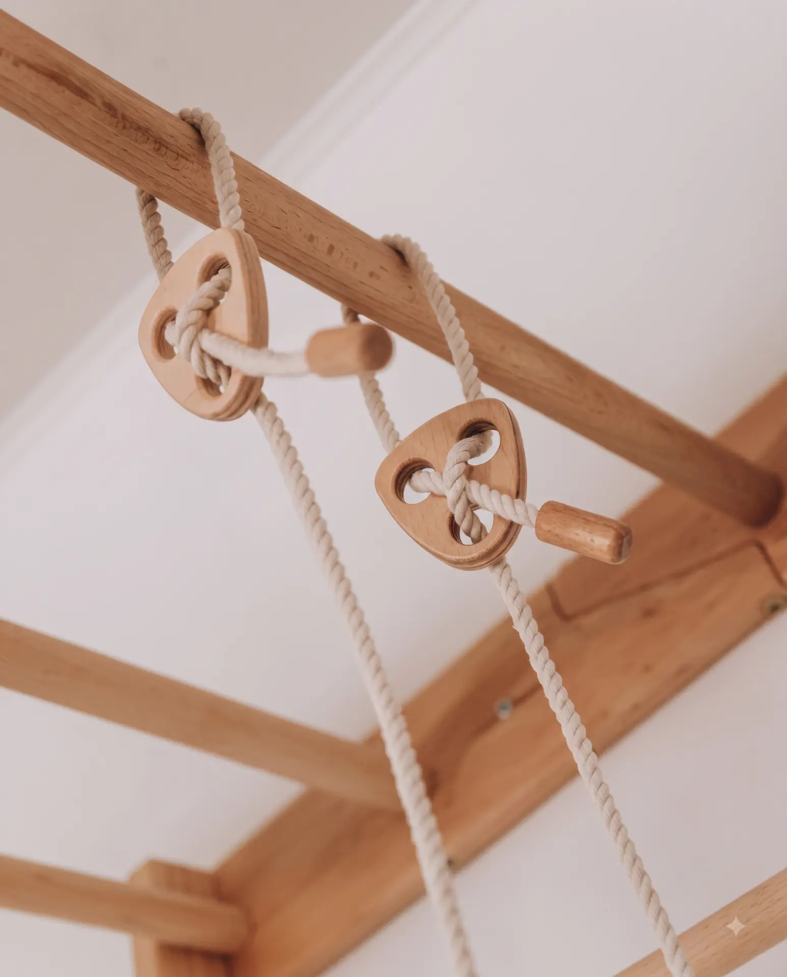 Climb Ladder detail — wooden rungs and rope construction