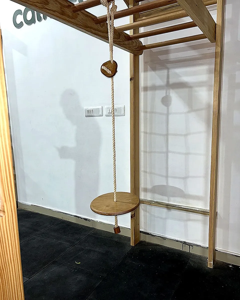 Disc Swing Hanging View