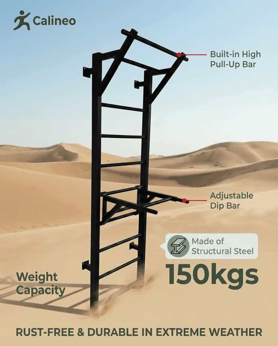 Terra Swedish Ladder dip bar attachment with adjustable positioning